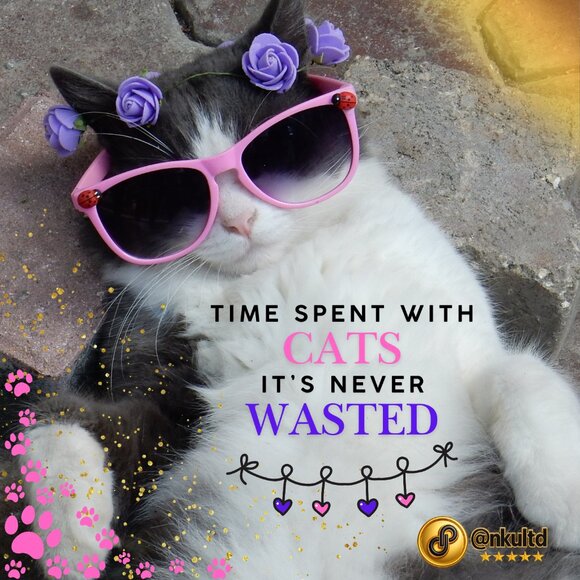 🆕️ Whimsical Black Cat Moon Cushion Covers 18"x18" Set Of 2 Zippered Polyester - Picture 8 of 12